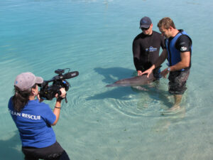 David Whitehill Media and Travel Gallery